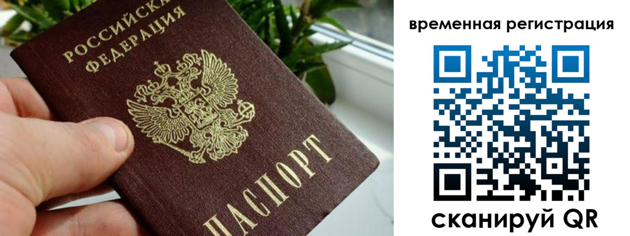 прописка поиск в Саянске